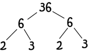 Prime Factorization